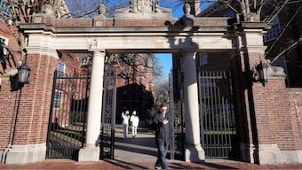 A passer-by walks through a gate to the Harvard University campus, January 2, 2024, in Cambridge, Massachusetts. AP